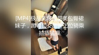 [MP4]极品高颜值甜美包臀裙妹子，蹲着口交舔弄上位骑乘抽插猛操