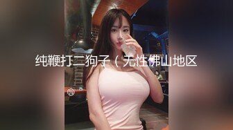 纯鞭打二狗子（无性佛山地区