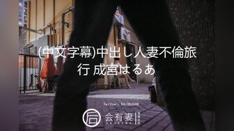 (中文字幕)中出し人妻不倫旅行 成宮はるあ