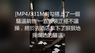 [MP4/331MB]勾搭上了一個騷逼銷售 一直假裝正經不讓操，終於去酒店拿下了狠狠地操爛她的騷逼