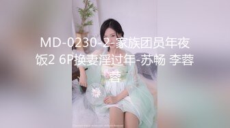 MD-0230-2-家族团员年夜饭2 6P换妻淫过年-苏畅 李蓉蓉