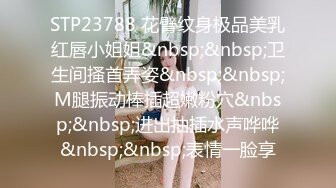 STP23788 花臂纹身极品美乳红唇小姐姐&nbsp;&nbsp;卫生间搔首弄姿&nbsp;&nbsp;M腿振动棒插超嫩粉穴&nbsp;&nbsp;进出抽插水声哗哗&nbsp;&nbsp;表情一脸享