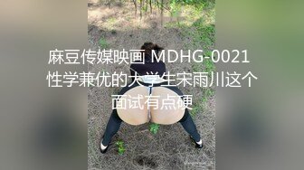 麻豆传媒映画 MDHG-0021 性学兼优的大学生宋雨川这个面试有点硬