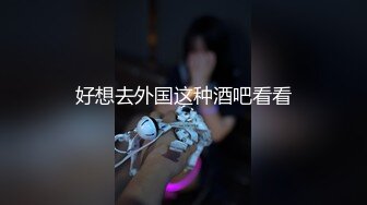 好想去外国这种酒吧看看