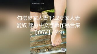 勾搭良家人妻 FC2卖家人妻爱奴 部分中文字幕作品合集【66V】 (49)