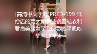 [高清中文字幕]PRED-199 風俗店的兩大頭牌波多野結衣和君島美緒為了我的歡心爭風吃醋各顯神通