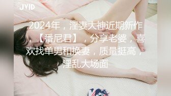 2024年，淫妻大神近期新作，【番尼君】，分享老婆，喜欢找单男和换妻，质量挺高，淫乱大场面