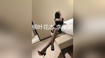 柳叶花态 李承美