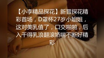 【小李精品探花】新晋探花精彩首场，D罩杯27岁小姐姐，这对美乳值了，口交啪啪，后入干得乳浪翻滚娇喘不断好精彩