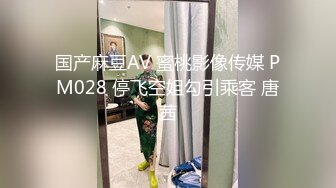 国产麻豆AV 蜜桃影像传媒 PM028 停飞空姐勾引乘客 唐茜