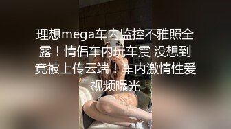 理想mega车内监控不雅照全露！情侣车内玩车震 没想到竟被上传云端！车内激情性爱视频曝光